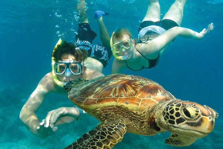 Watamu marine park