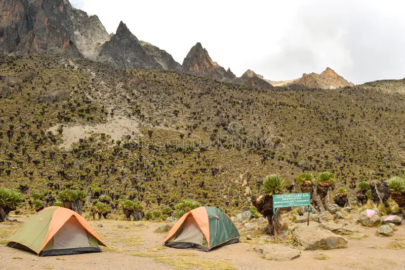 campsite-shipton-s-camp-mount-kenya-national-park-camping-panoramic-mountain-landscapes-204147184