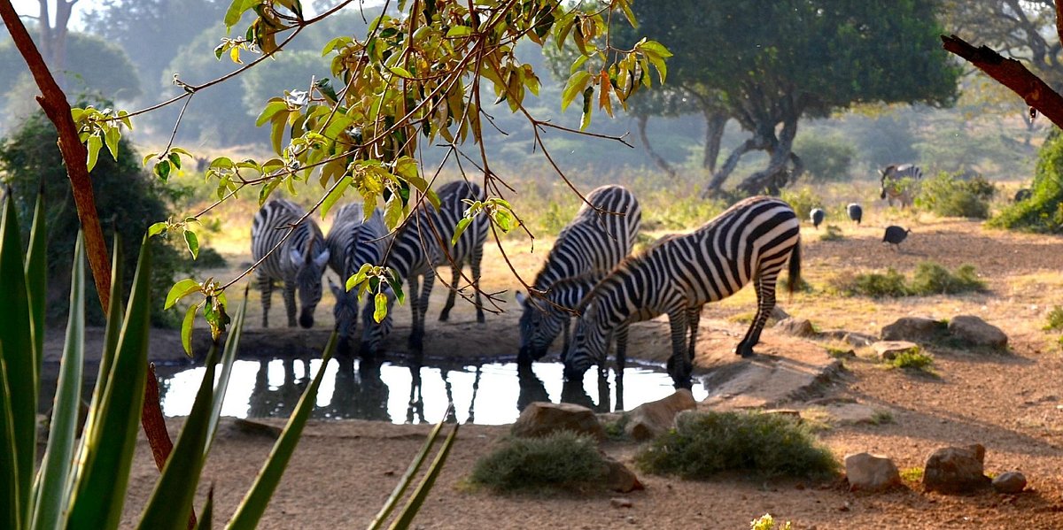 maralal-safari-lodge (1)