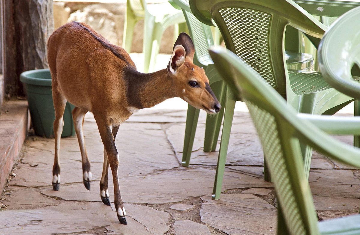 maralal-safari-lodge (5)