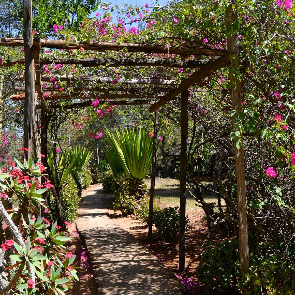 maralal-safari-lodge