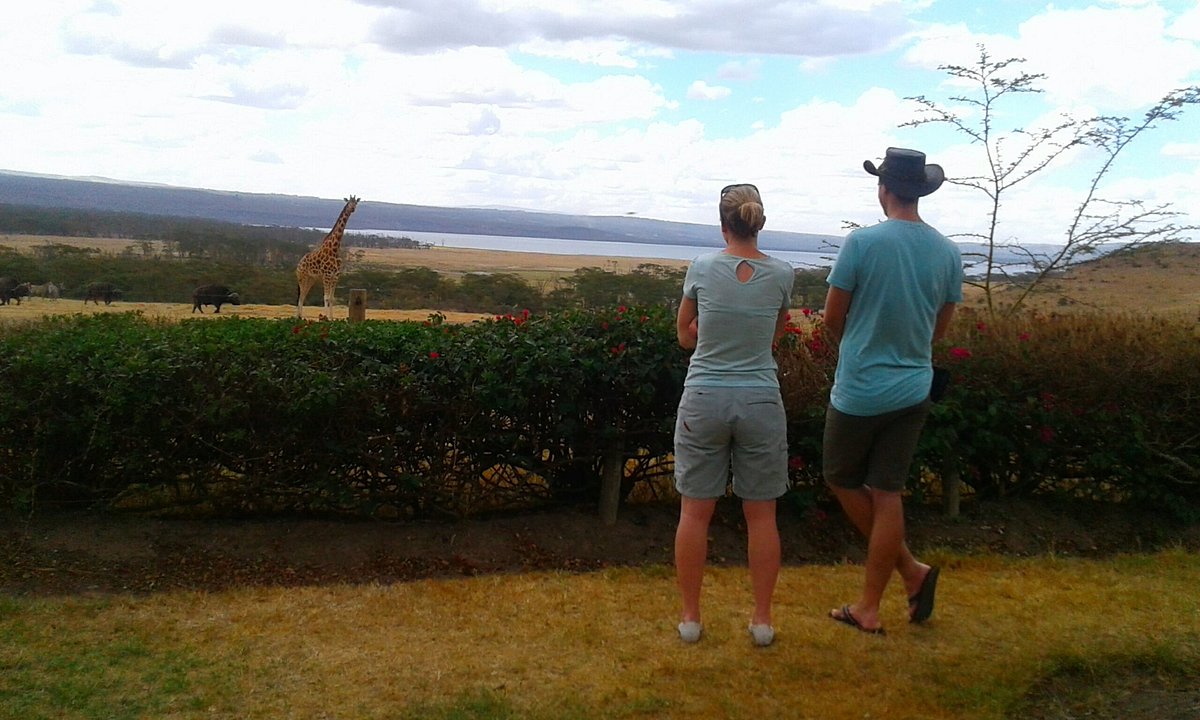 wildlife-comes-as-close