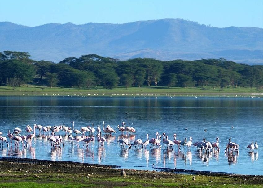 Lake-Naivasha-e1490773324410