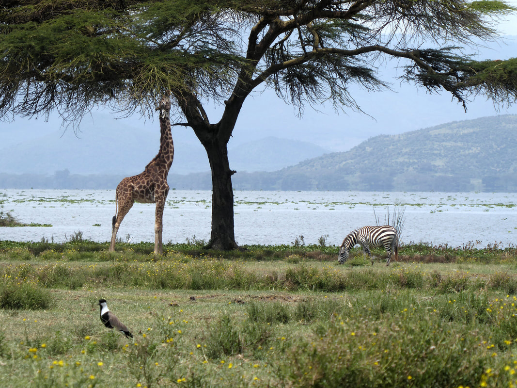 crescent-island-sanctuary-kenya_orig