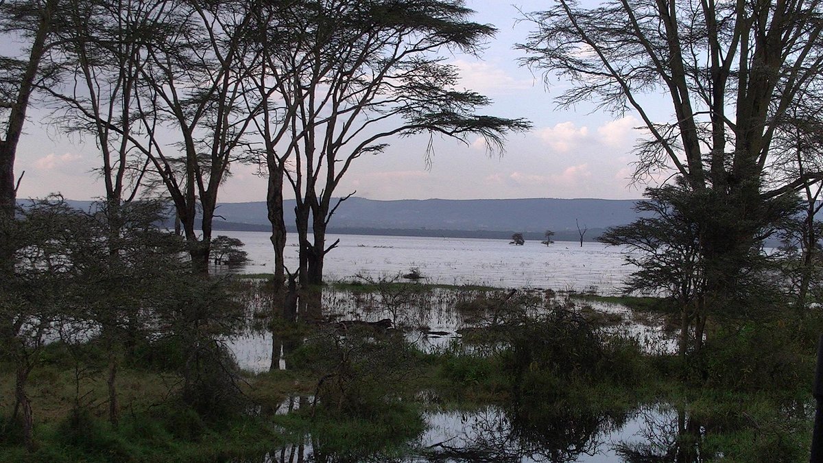 lake-elementaita