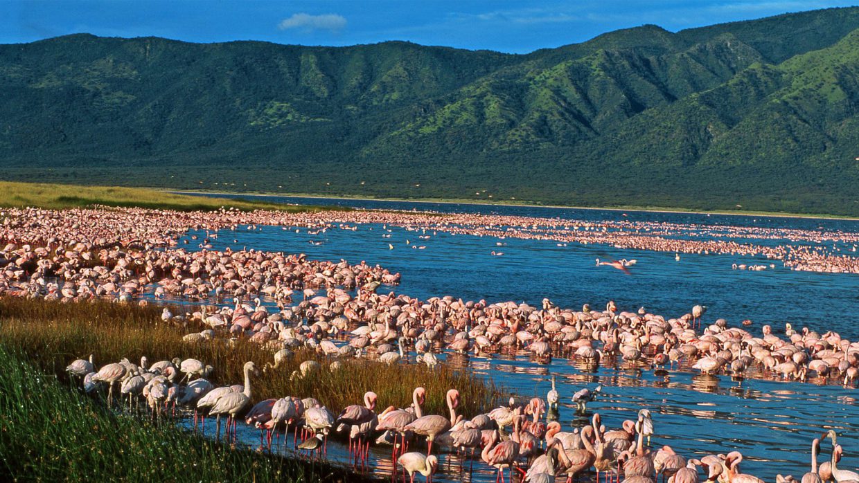 lake-elmenteita-southern-rift-valley-2