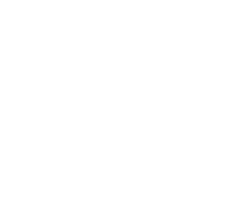 awards 2024.png