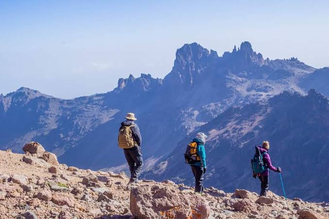 images 24