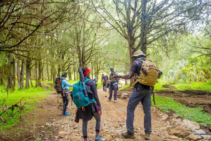 images 26 1